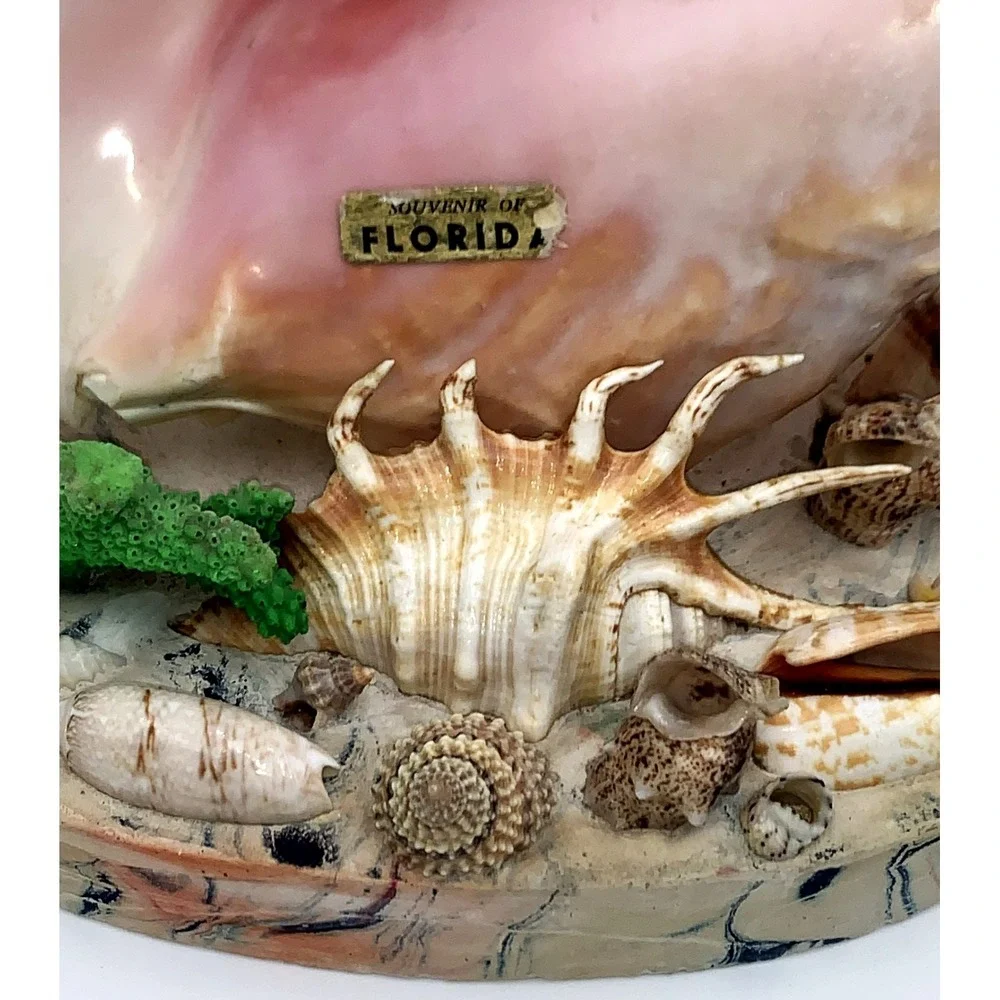 Vtg 50s Pink Conch Seashell Night Table Lamp Light Kitschy Tiki Florida Souvenir